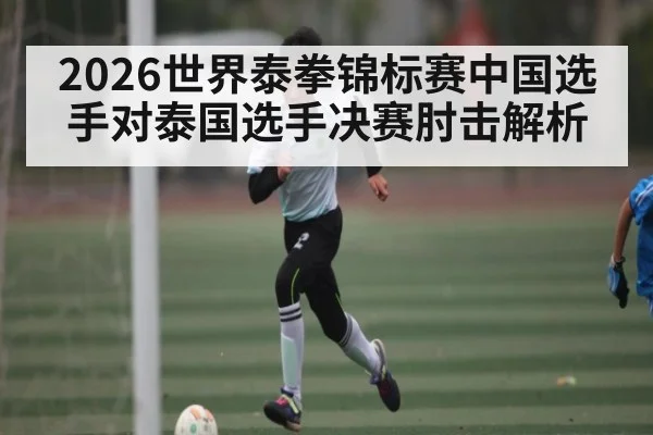 2026世界泰拳锦标赛中国选手对泰国选手决赛肘击解析